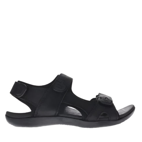 Scholl Brody Black