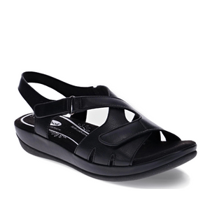 Scholl Casey Black