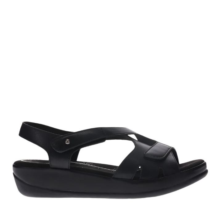 Scholl Casey Black