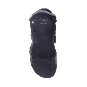 Scholl Brody Black